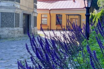 Внутренний дворик, фото 4