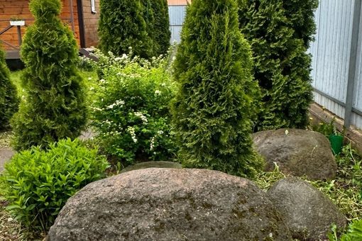 Банкетный зал Вилла Фамилия / Villa Familiya. Вид с улицы