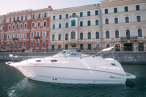 Катер Чапараль 240 Сильвер / Chaparral 240 Silver. Катер, фото 4