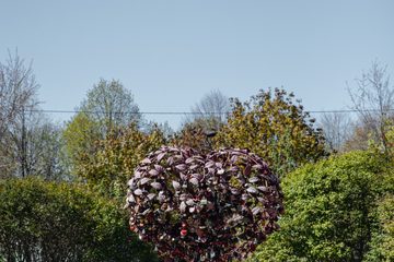 Вид с улицы, фото 9