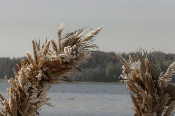 Выездная регистрация, фото 5
