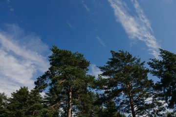 Территория, фото 6