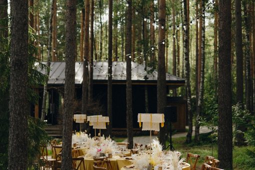 Загородный клуб Ви Лодж / We Lodge. Загородный клуб полностью до 100 человек